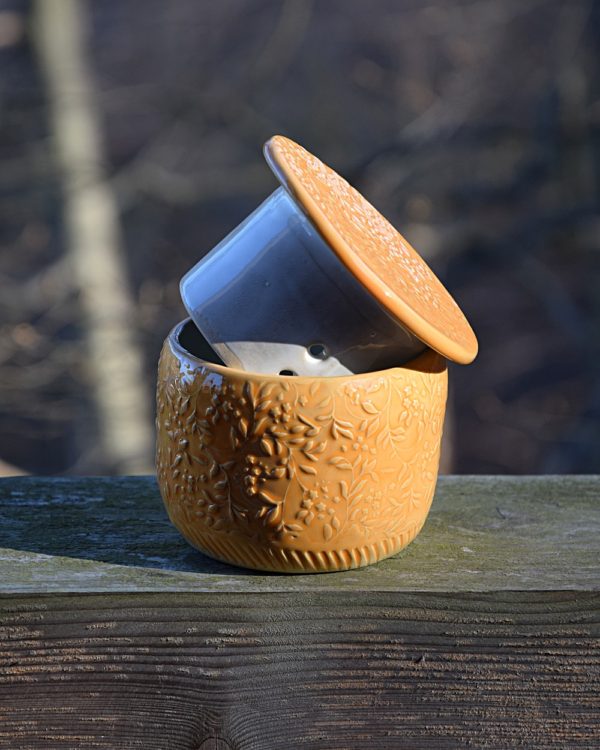 Pomarańczowa maselniczka wodna francuska (French butter dish).